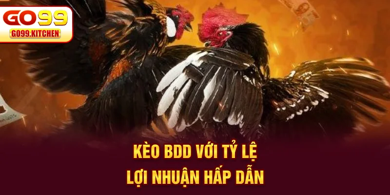 Kèo cược đá gà GO99 với tỷ lệ lợi nhuận hấp dẫn